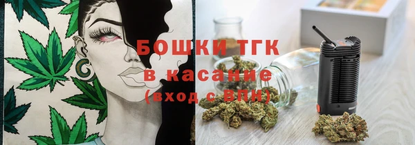 хмурый Лагань