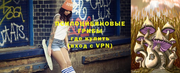хмурый Лагань