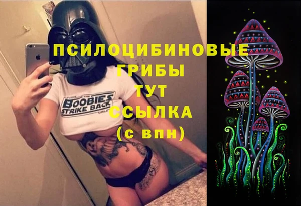 стаф Богородицк