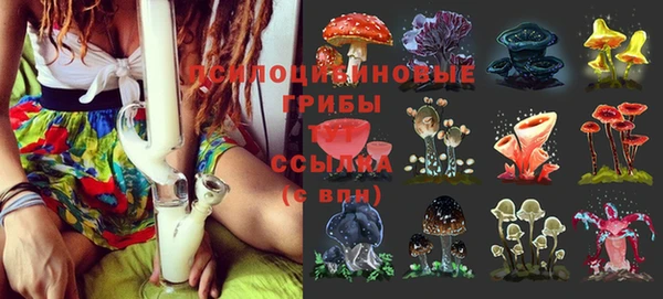 амф Лабытнанги