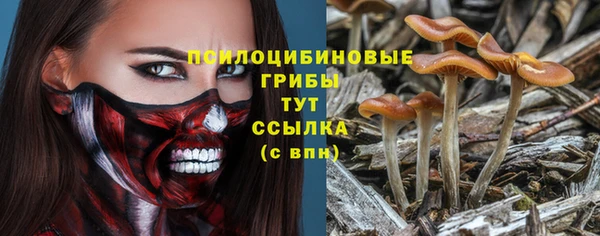 хмурый Лагань