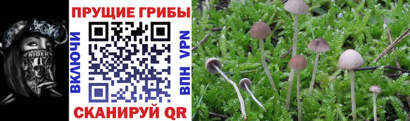 Галлюциногенные грибы ЛСД  хочу наркоту  Сургут 