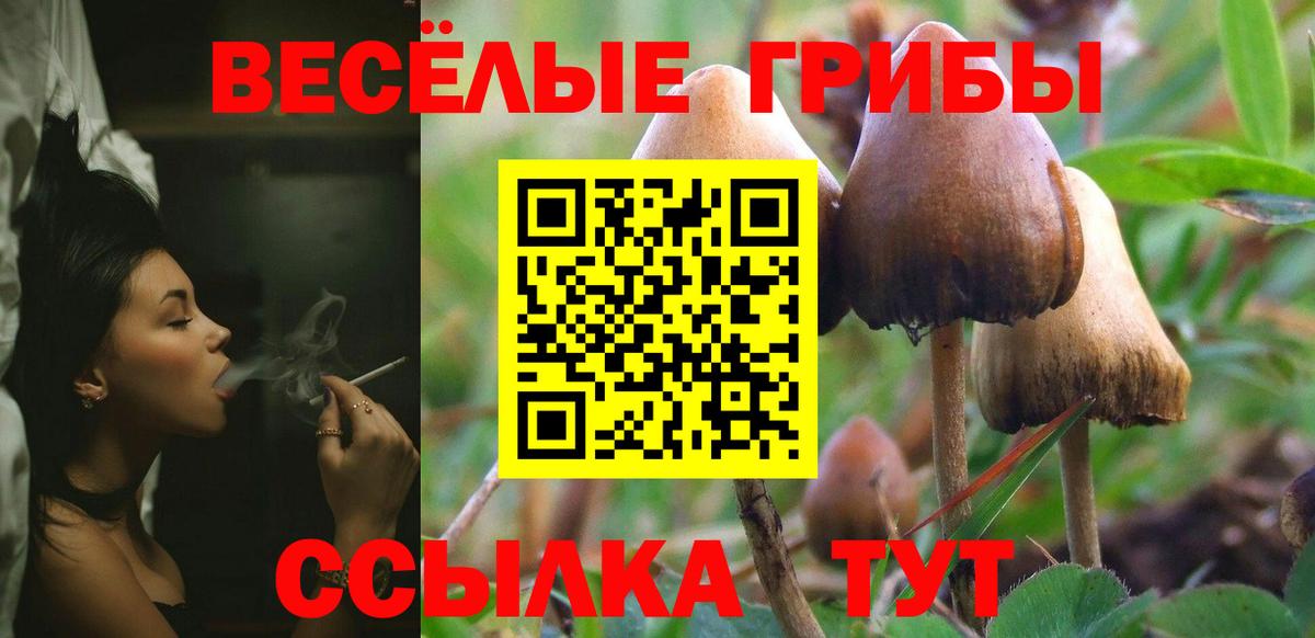 наркотики  Сургут  Псилоцибиновые грибы Psilocybine cubensis  Галлюциногенные грибы MAGIC MUSHROOMS 