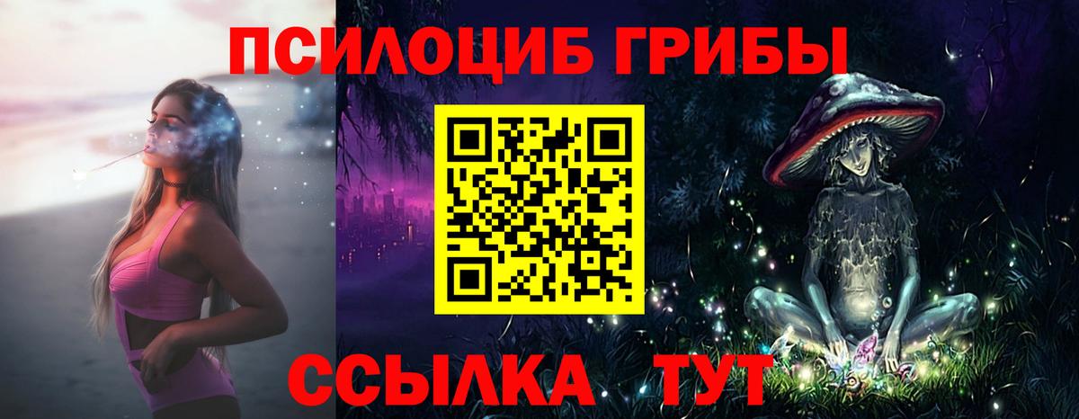 Псилоцибиновые грибы Cubensis Сургут