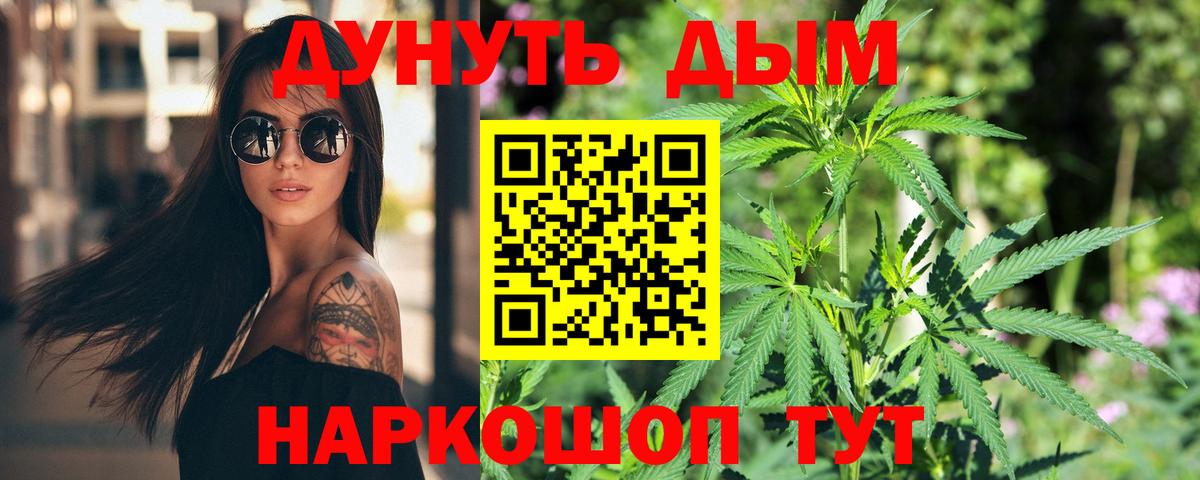Бошки Шишки гибрид Сургут